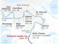 Saltwater New Orleans map